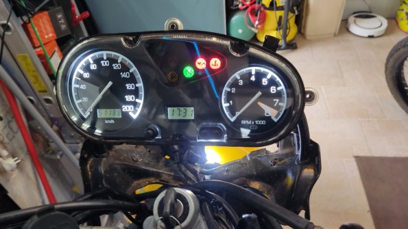 1734278828655 (Grande)